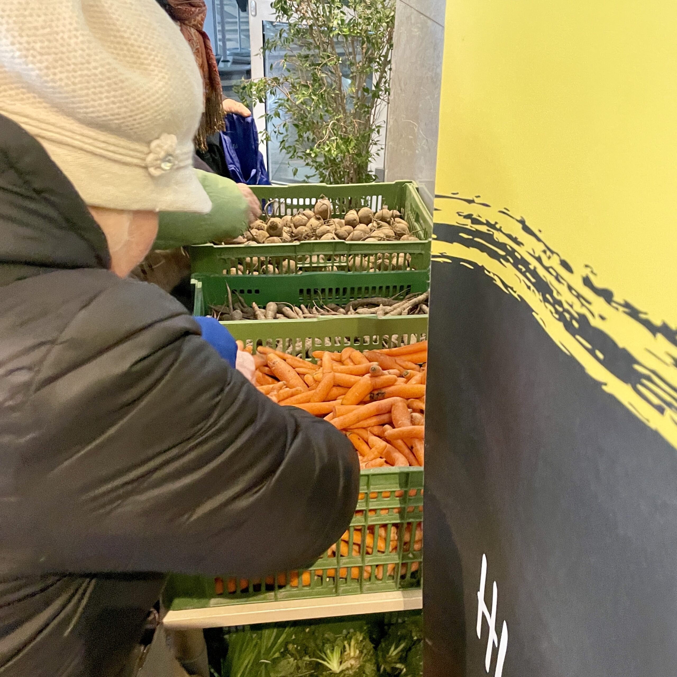 Mehrere Frauen nehmen sich Karotten und Kartoffeln aus grünen Kisten